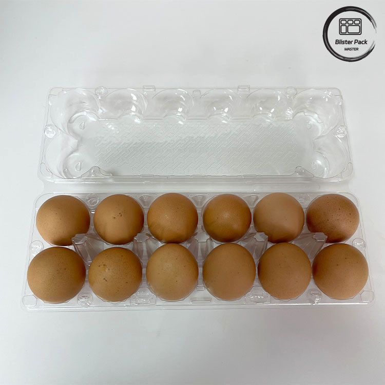 12 카운트 재사용 치킨 에그 플라스틱 블러스터 트레이 저장 및 운송을위한 열형 트레이